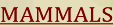mammals