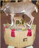 Doe & fawns