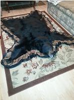Black bear rug