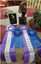 2016 mta awards