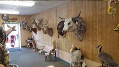 showroom