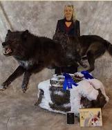 wolves