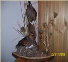 quail mating pair